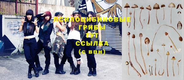 прущие крисы Абдулино