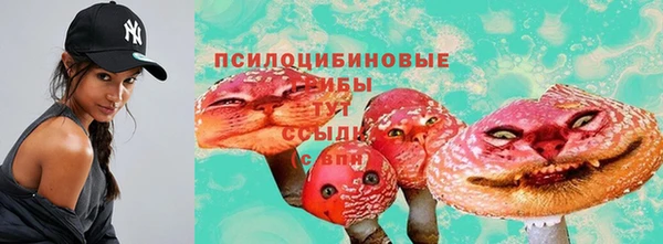 ECSTASY Абинск
